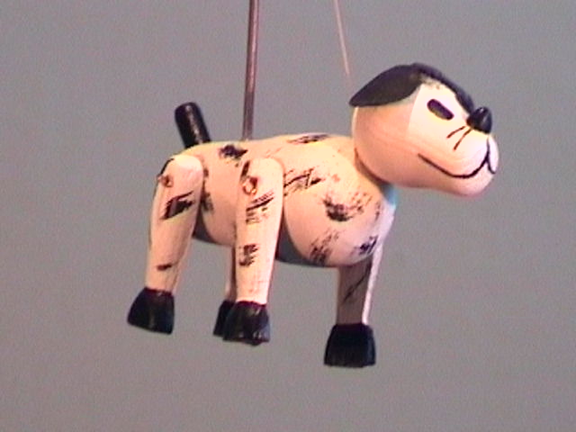 dog m11